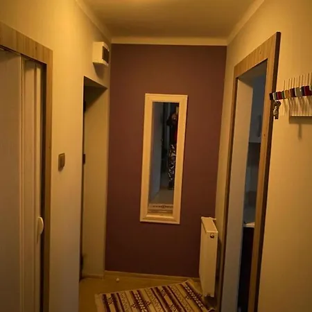 Oasis House